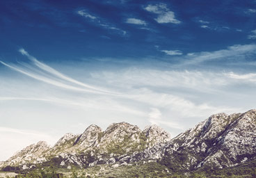 账号商城正版的网站攻击软件工具