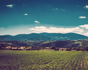 平台在线ddos压力测试